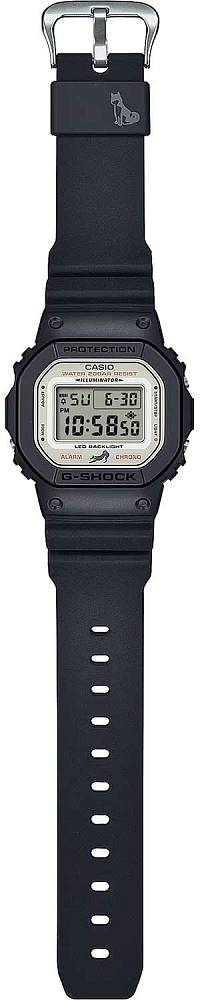 DW-5600SHB-1