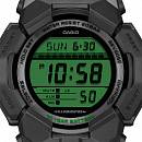 GD-010BEG-1