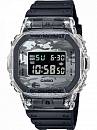 DW-5600SKC-1
